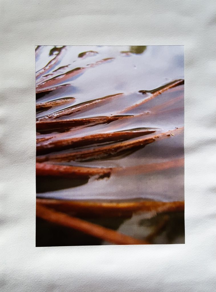 Photographie macro eau