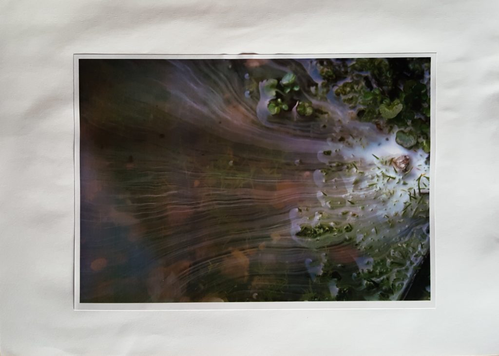 Photographie macro eau