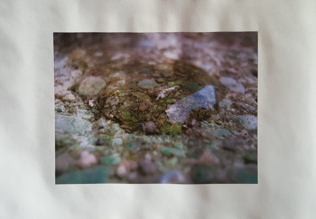 Photographie macro eau