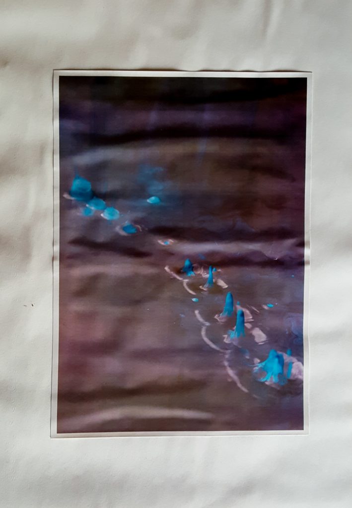 Photographie macro eau