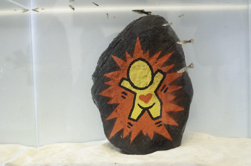 Vernissage Charlotte Boiron JACE