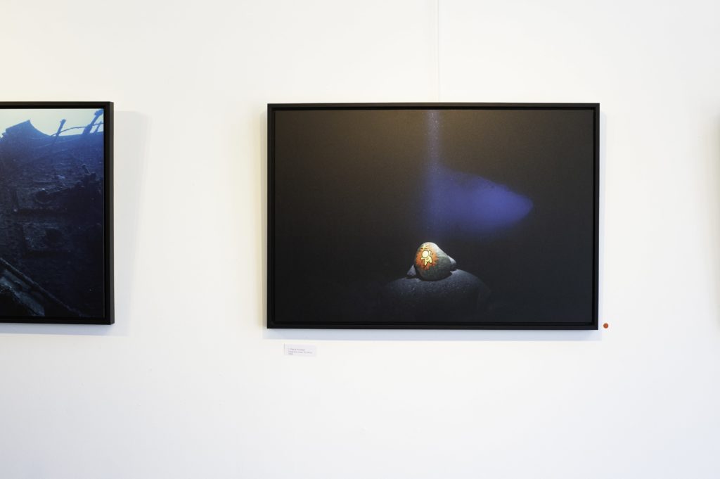 Vernissage Charlotte Boiron JACE