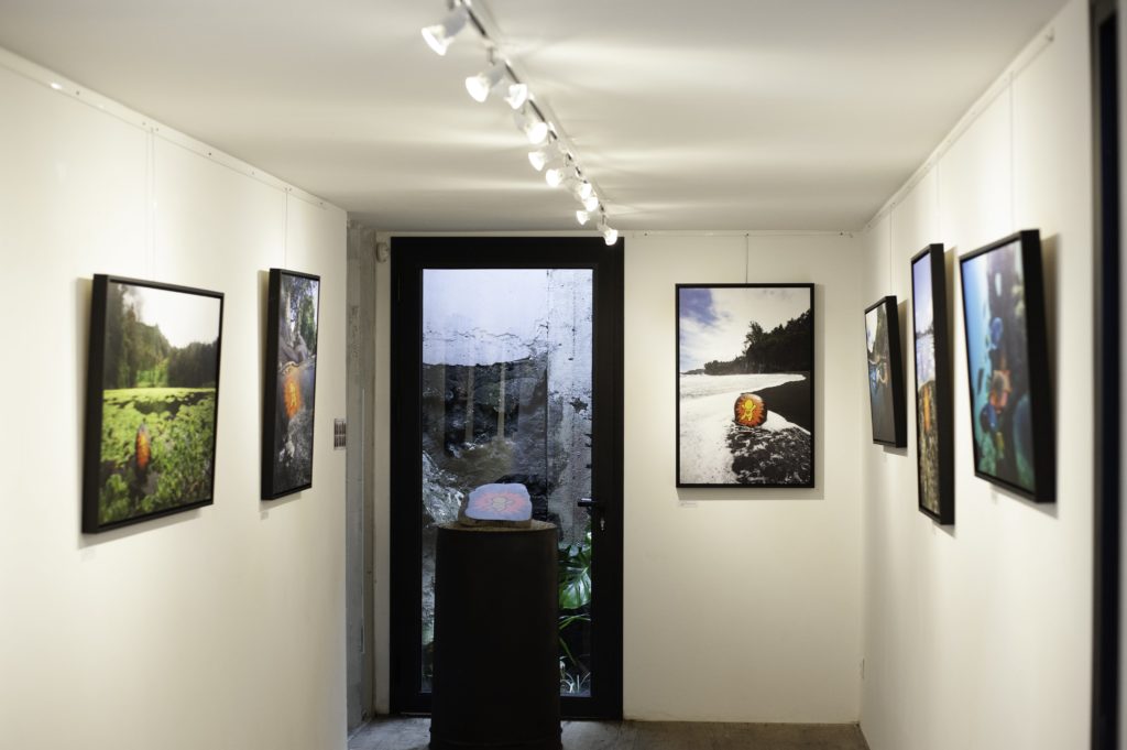 Vernissage Charlotte Boiron JACE