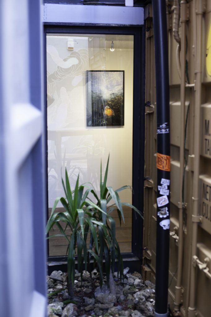 Vernissage Charlotte Boiron JACE