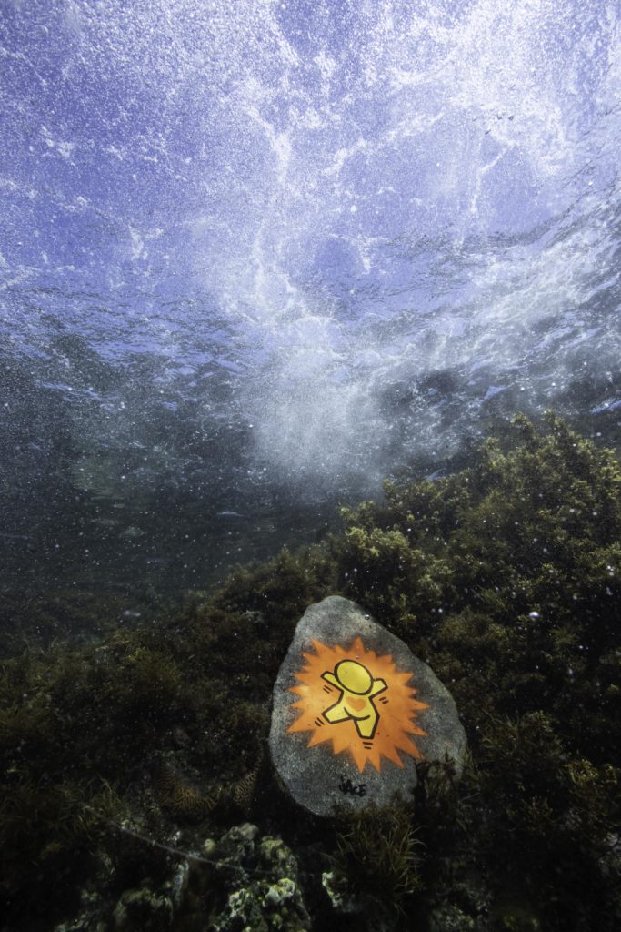 Etang Salé - Tirage d'art unique sur dibond - 50x70 cm