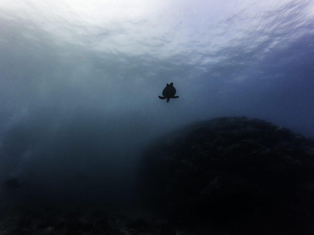 Charlotte Boiron Photographe