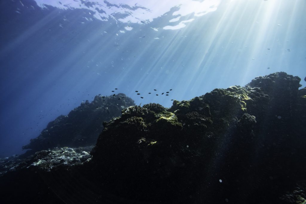 Charlotte Boiron Photographe