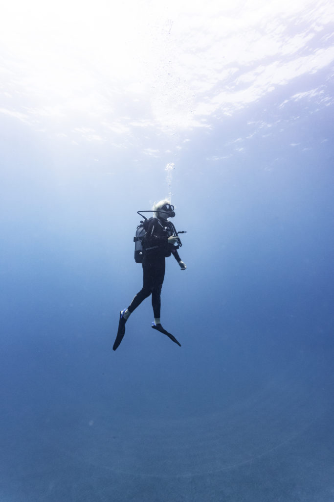 Plongée ile de la réunion
