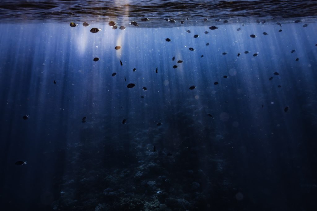 Charlotte boiron photographe