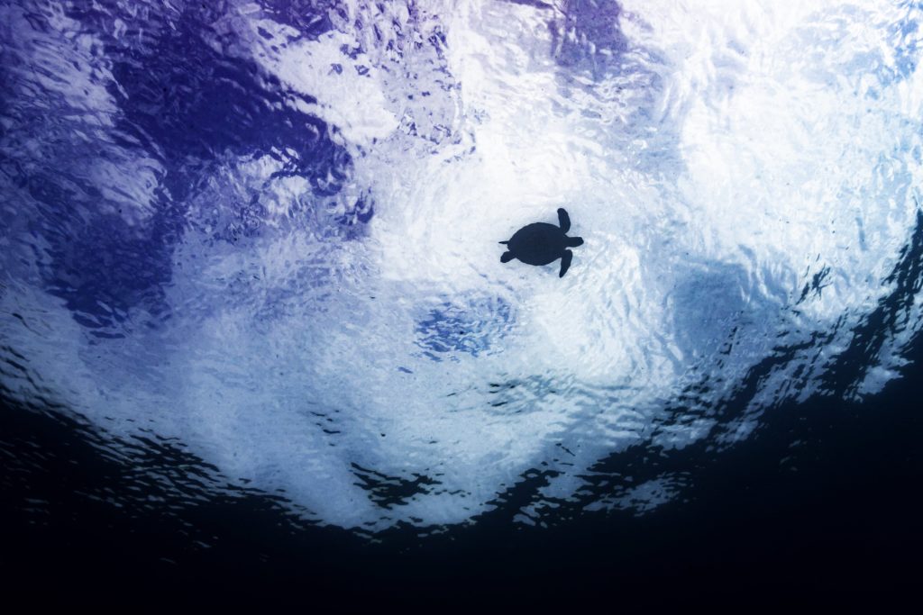 Charlotte boiron photographe