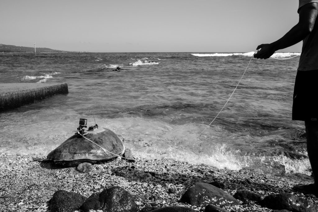 photoreportage charlotte boiron