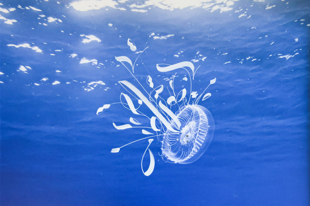 Exposition charlotte boiron