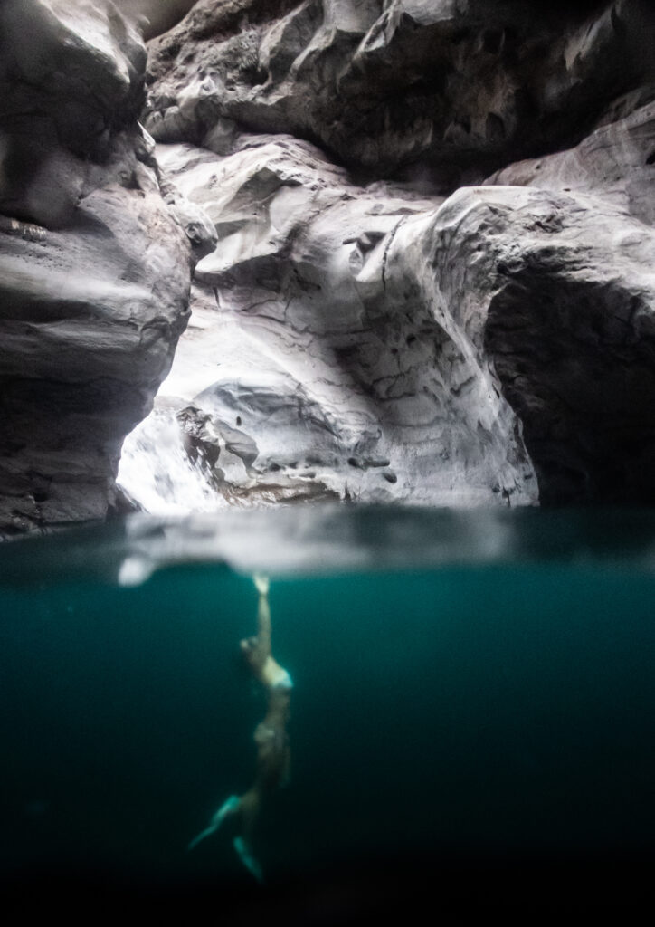 Portrait aquatique La Réunion