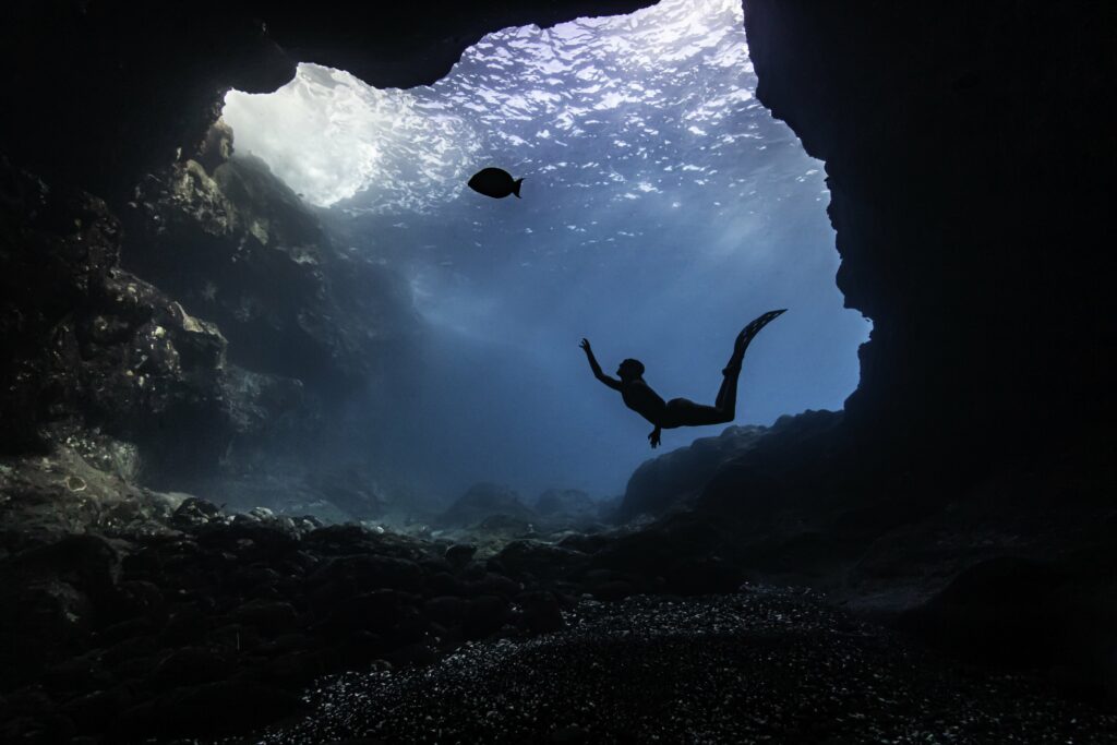 Portrait aquatique La Réunion