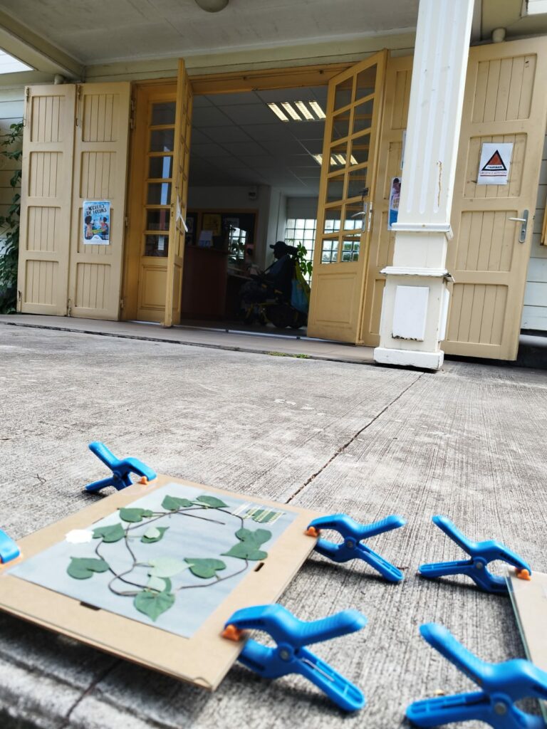 exposition charlotte boiron