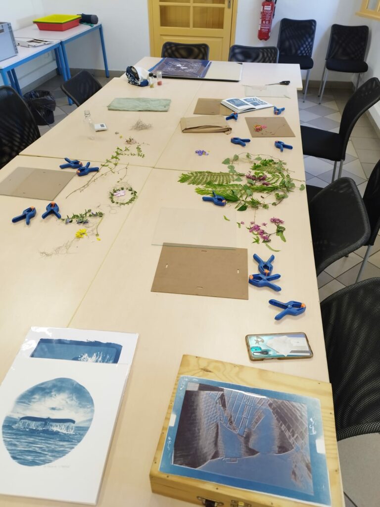 exposition charlotte boiron