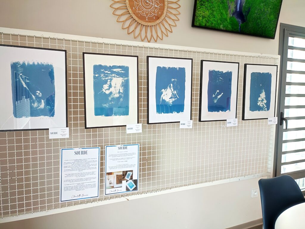 exposition charlotte boiron