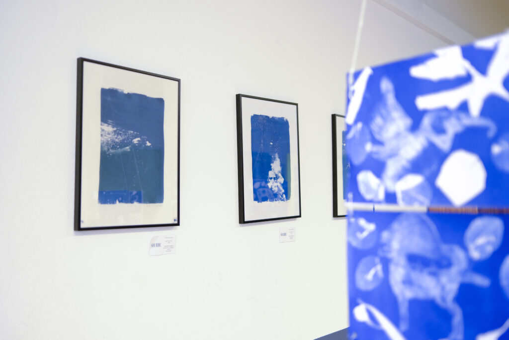 exposition charlotte boiron