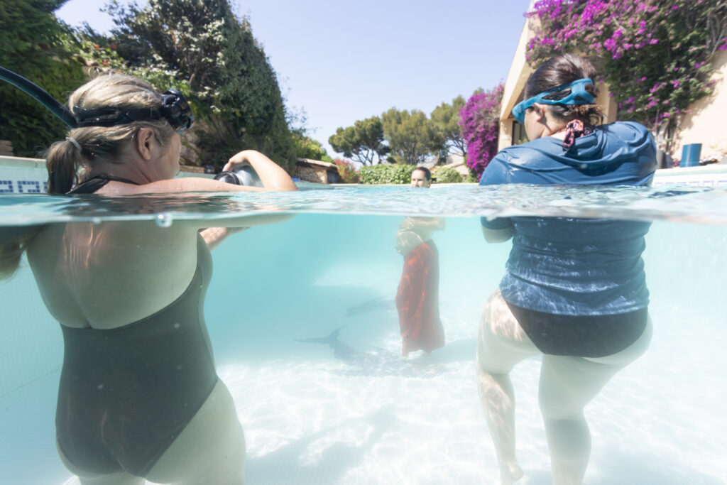 Formation photographie aquatique